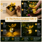 🐝💡Hanging Solar Bee Light – Warm Amber Glow, Flicker-Free, Perfect for Garden Parties, Camping, or Kids’ Rooms🌞
